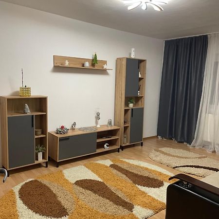 Apartament Petroşani エクステリア 写真