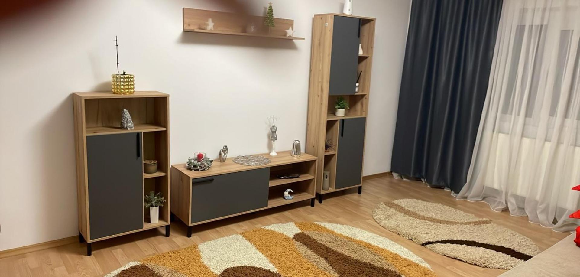 Apartament Petroşani エクステリア 写真