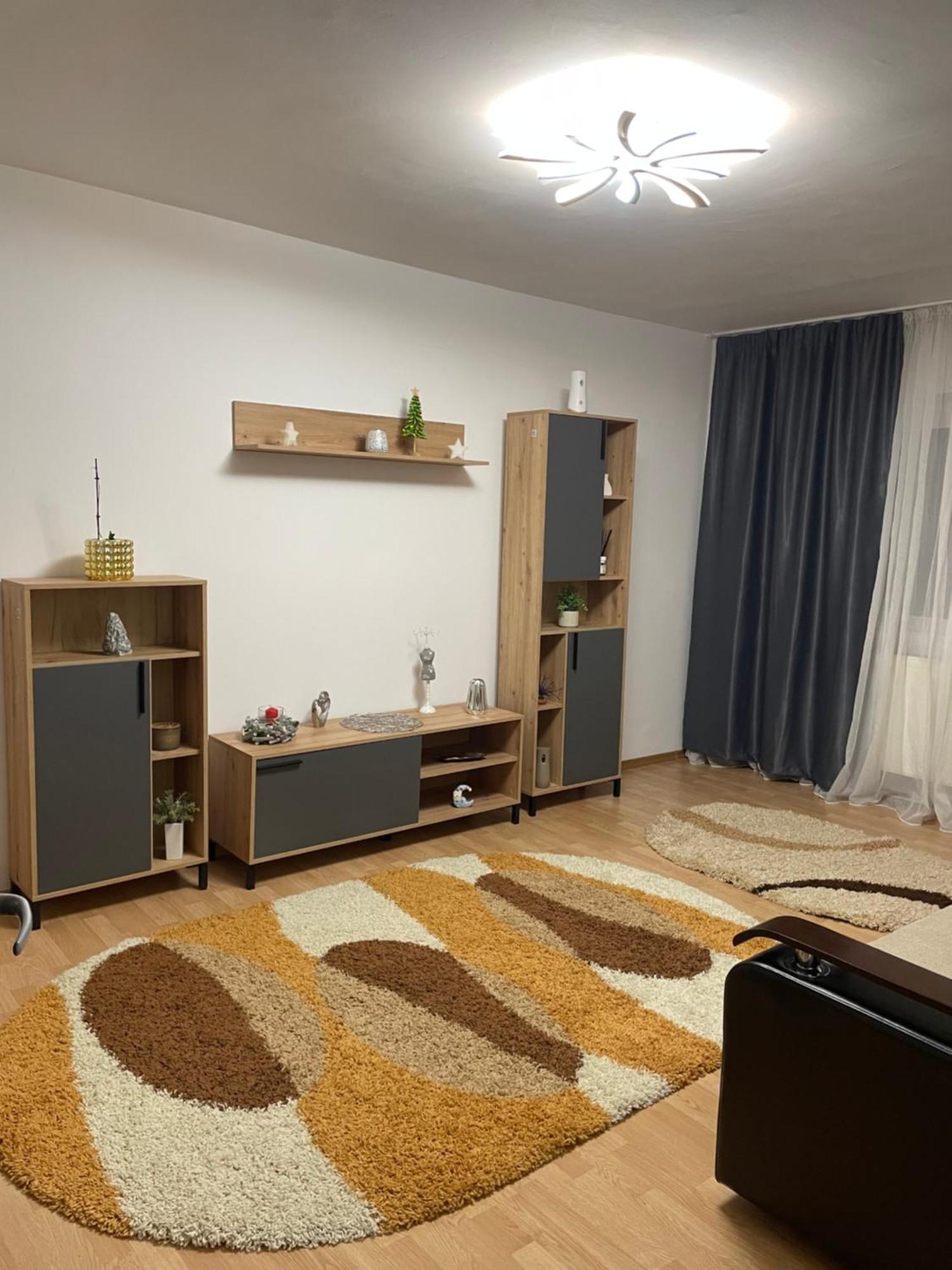 Apartament Petroşani エクステリア 写真